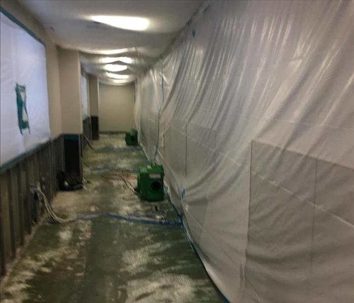 commercial mold damage in Fontana