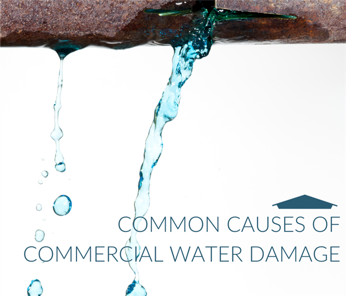 Common Causes of Commercial Water Damage