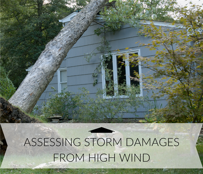 Assessing Storm Damages from High Wind